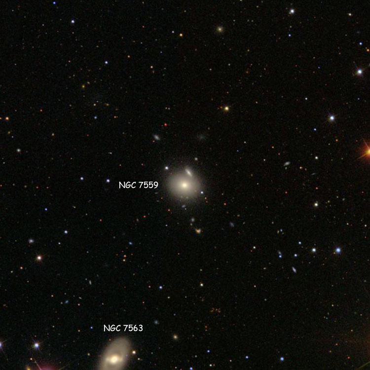 SDSS image of region near lenticular galaxy NGC 7559, also showing NGC 7563