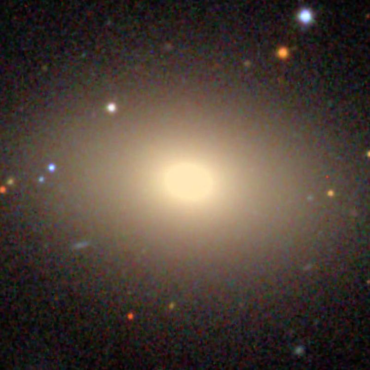 SDSS image of elliptical galaxy NGC 7562
