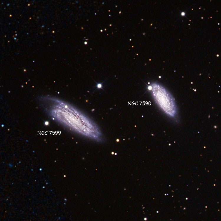 Observatorio Antilhue image of region between spiral galaxies NGC 7590 and 7599, members of the Grus Quartet, superimposed on a DSS background to fill in otherwise missing areas