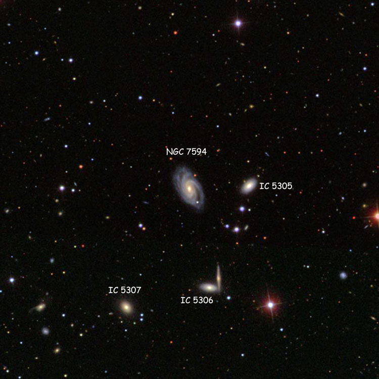 SDSS image of region near spiral galaxy NGC 7594, also showing IC 5305, 5306 and 5307