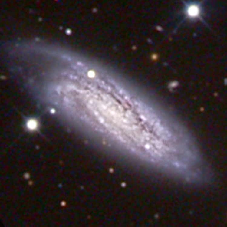 Observatorio Antilhue image of spiral galaxy NGC 7599, a member of the Grus Quartet