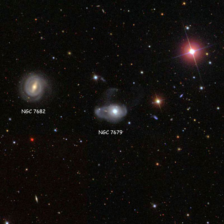 SDSS image of region near peculiar galaxy NGC 7679, also showing NGC 7682, with which it comprises Arp 216