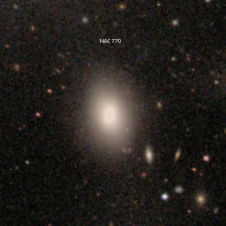 SDSS image of elliptical galaxy NGC 770, part of Arp 78