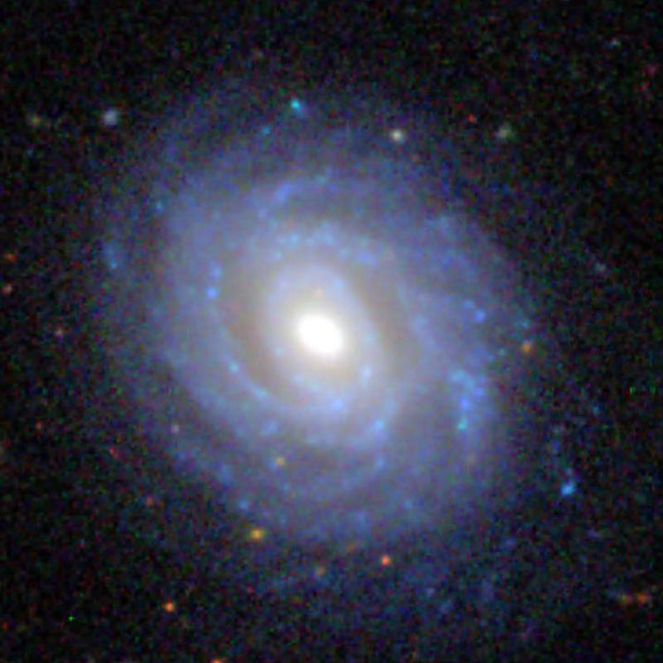 SDSS image of spiral galaxy NGC 7716