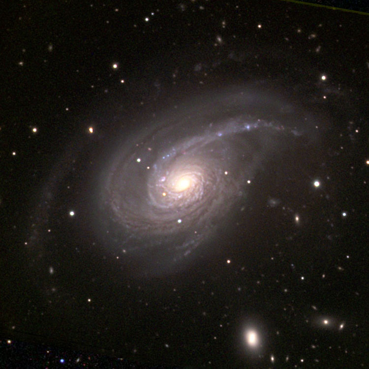NOAO image of spiral galaxy NGC 772 and NGC 770, collectively known as Arp 78, overlaid on an SDSS background to fill in missing areas