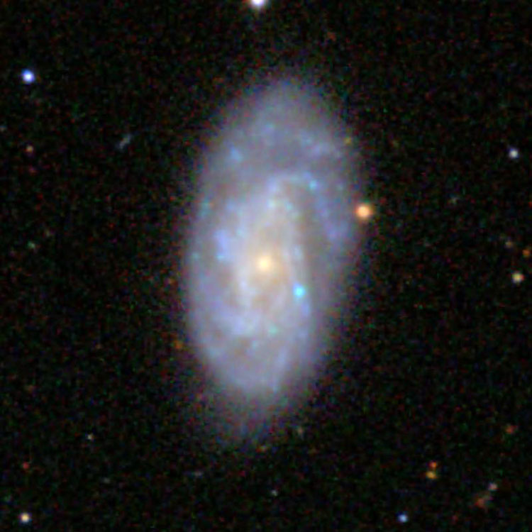 SDSS image of spiral galaxy NGC 7750