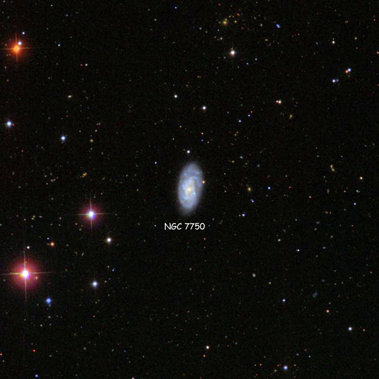 SDSS image of region near spiral galaxy NGC 7750
