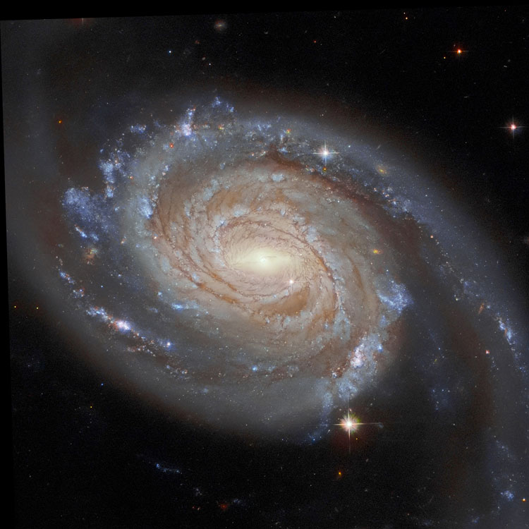 HST image of most of spiral galaxy NGC 7753