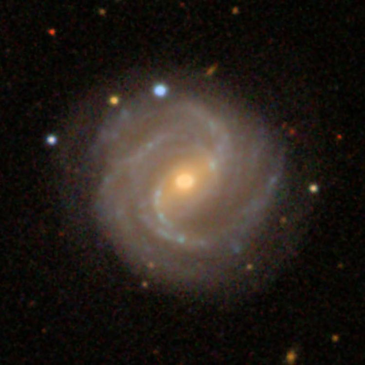 SDSS image of spiral galaxy NGC 776