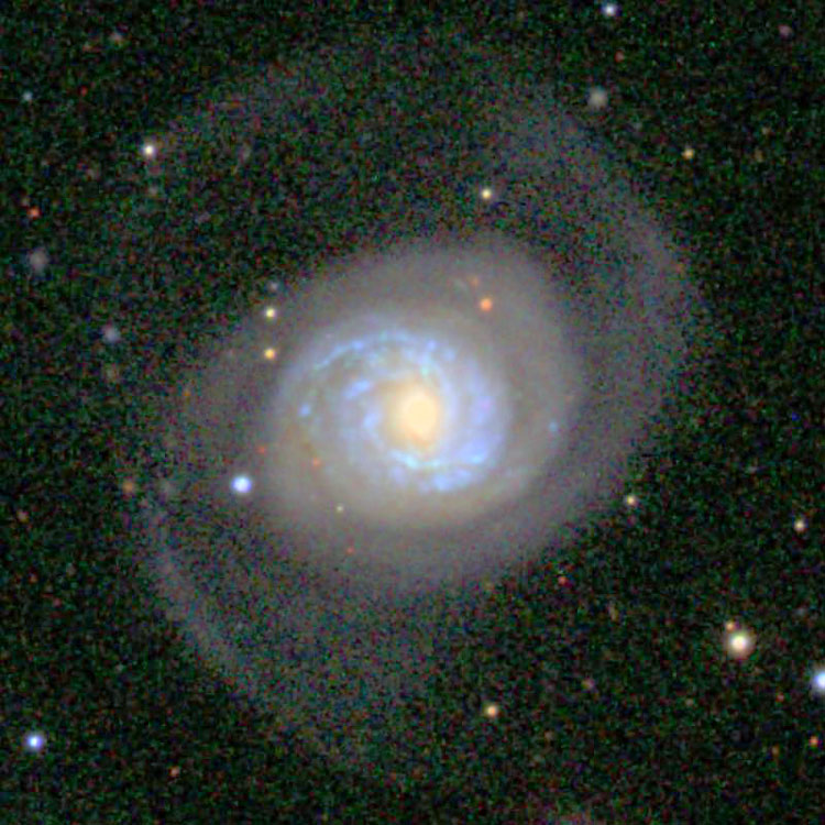 SDSS image of spiral galaxy NGC 7769