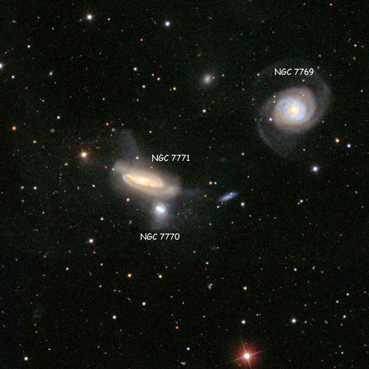 SDSS image of NGC 7771 group, consisting of NGC 7769, 7770 and 7771