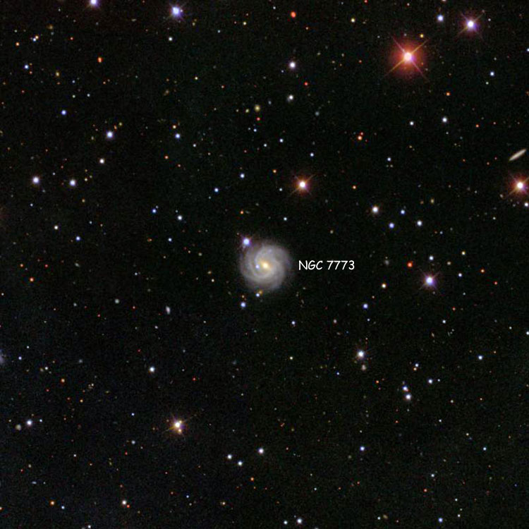 SDSS image of region near spiral galaxy NGC 7773