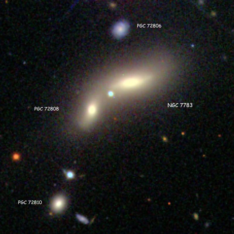 SDSS image of lenticular galaxy NGC 7783 and the other members of Hickson Compact Group 98, also known as Arp 323
