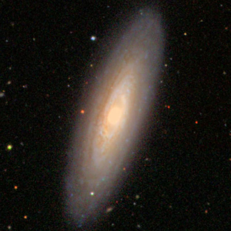 SDSS image of spiral galaxy NGC 779