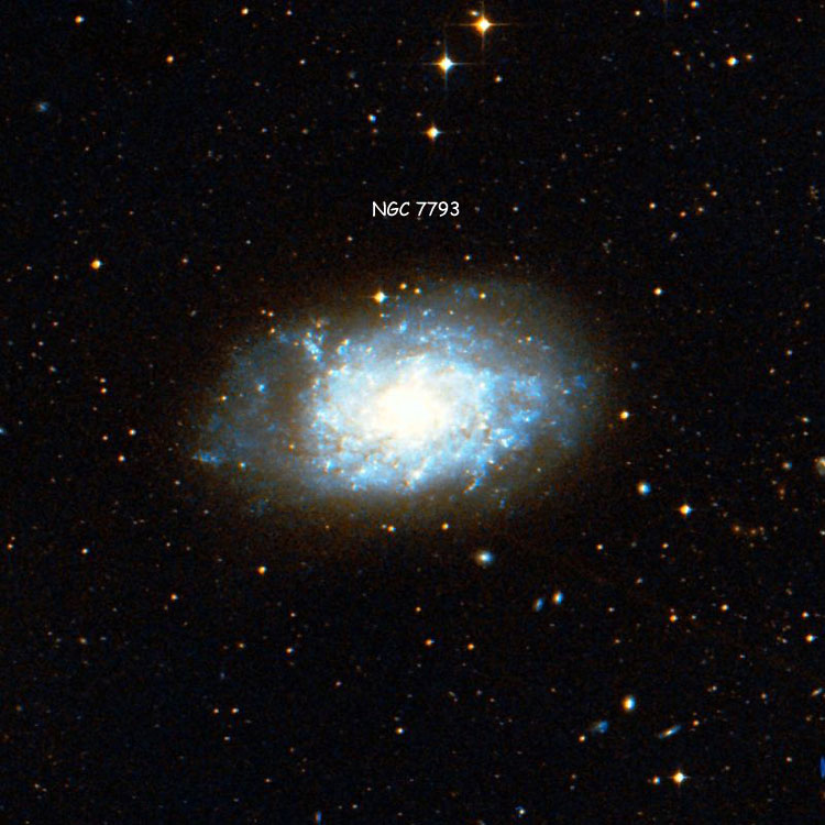 DSS image of region near spiral galaxy NGC 7793