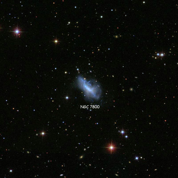SDSS image of region near irregular galaxy NGC 7800