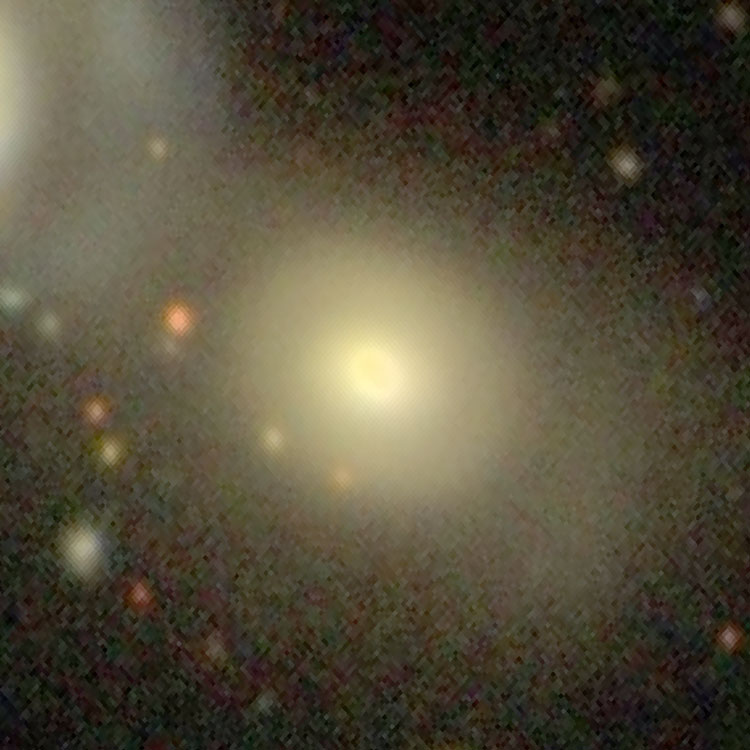SDSS image of lenticular galaxy NGC 7805, also showing part of NGC 7806