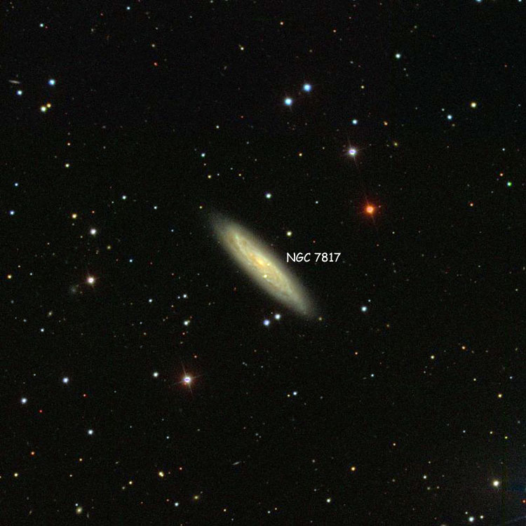 SDSS image of region near spiral galaxy NGC 7817