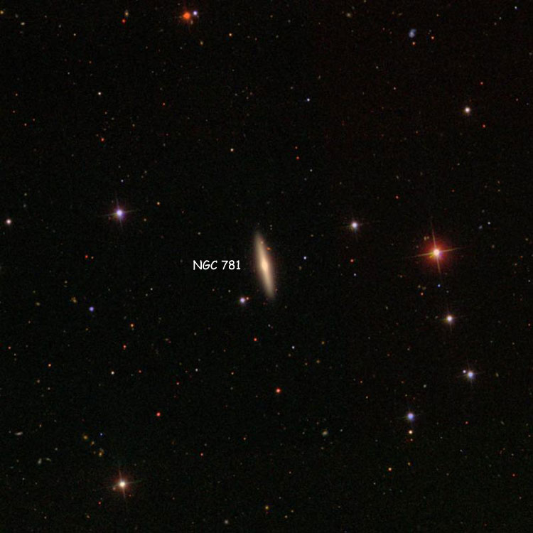 SDSS image of region near spiral galaxy NGC 781