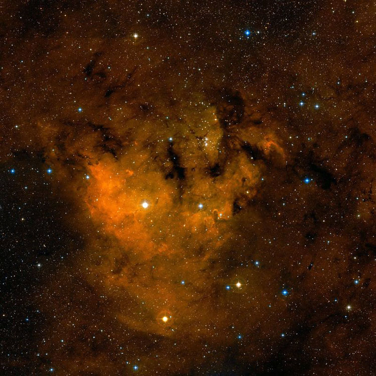 DSS image of central portion of emission nebula NGC 7822