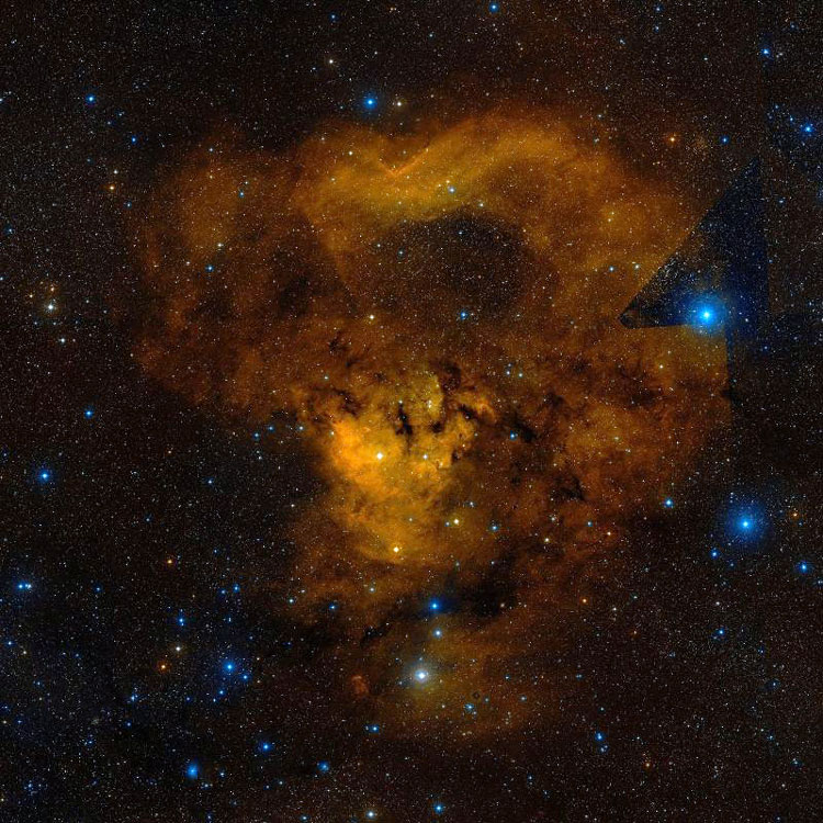 DSS image of emission nebula NGC 7822