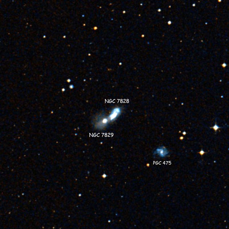 DSS image of region around peculiar irregular galaxy NGC 7828 and peculiar lenticular galaxy NGC 7829, collectively known as Arp 144; also shown is PGC 475, also known as Arp 51