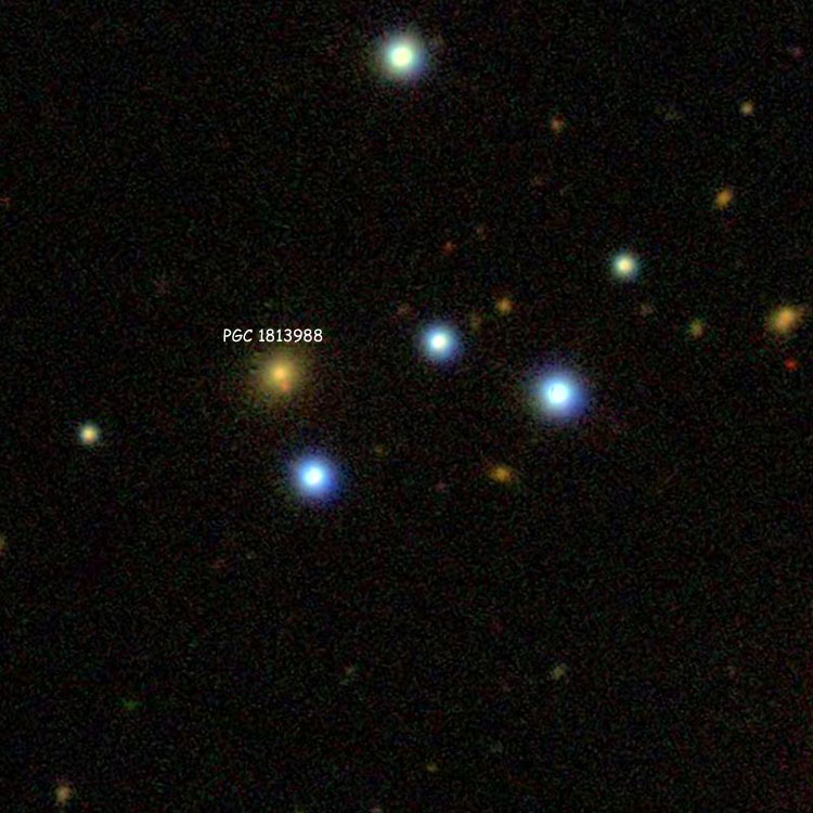 SDSS image of stellar group NGC 7833