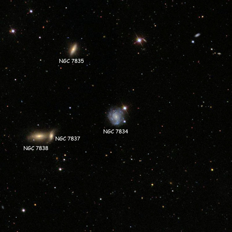 SDSS image of region near spiral galaxy NGC 7834, also showing NGC 7835, NGC 7837 and NGC 7838