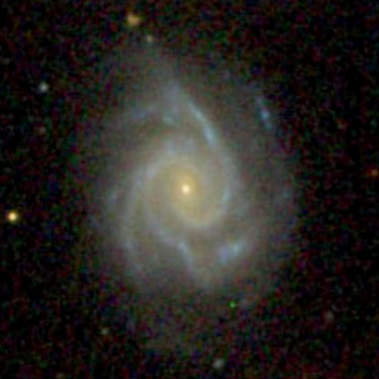 SDSS image of spiral galaxy NGC 800