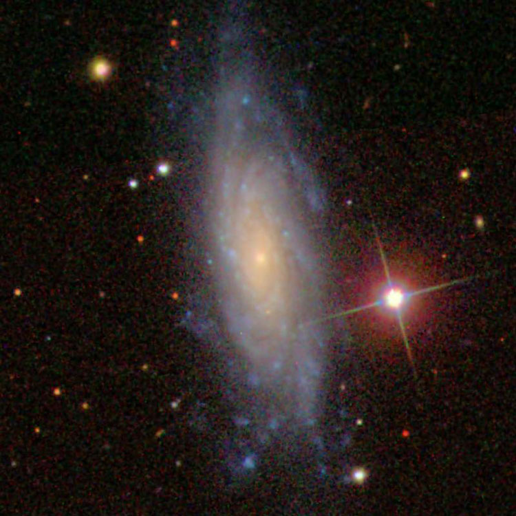 SDSS image of spiral galaxy NGC 803