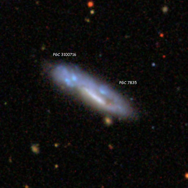 SDSS image of colliding galaxy pair NGC 806, showing labels for the individual components, PGC 7835 and PGC 3100716