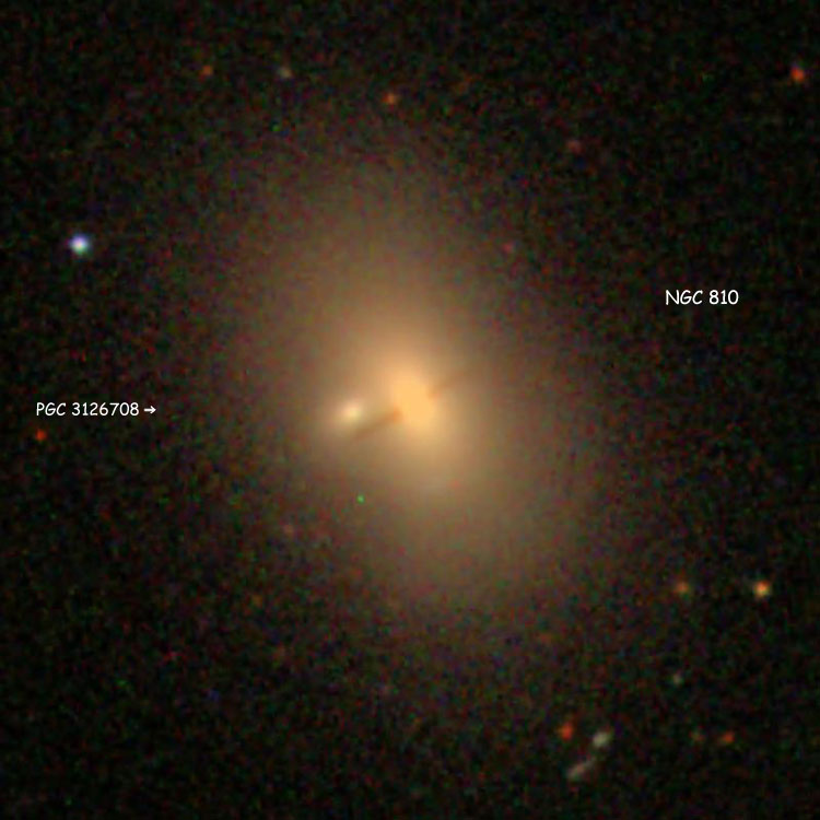 SDSS image of elliptical galaxy NGC 810 and its possible companion, elliptical galaxy PGC 3126708