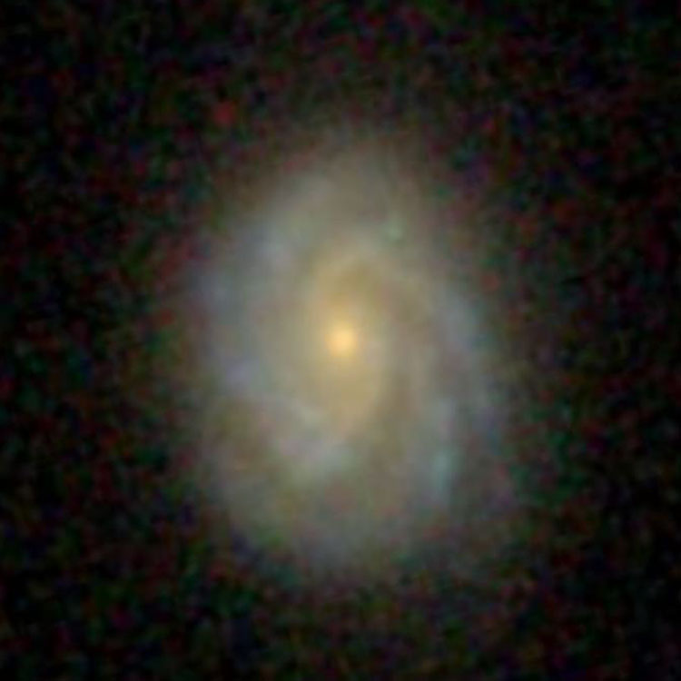SDSS image of spiral galaxy NGC 819