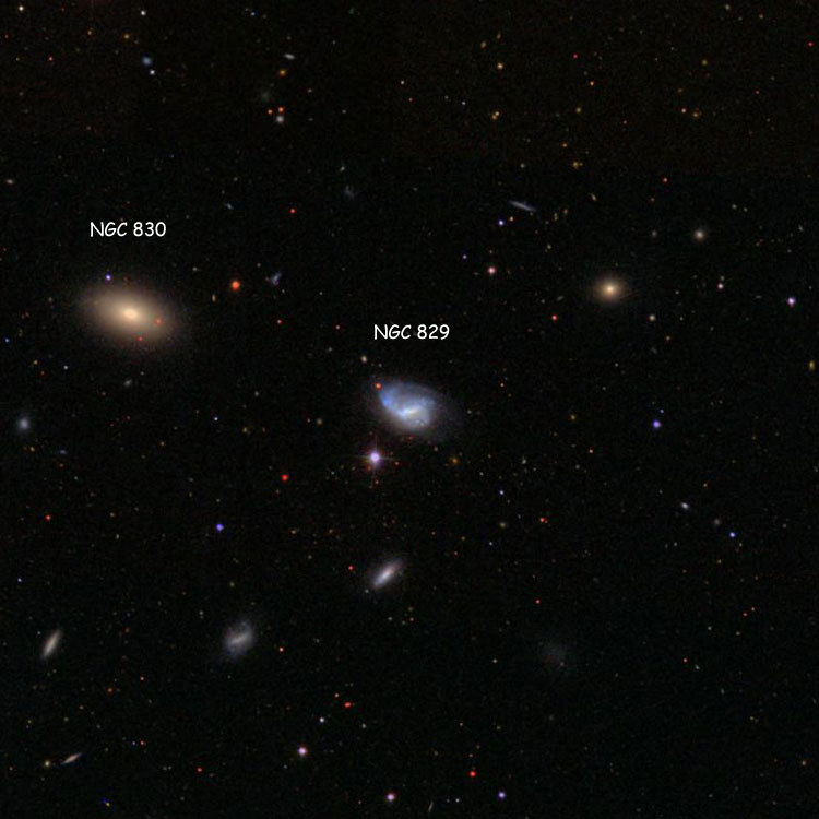 SDSS image of region near spiral galaxy NGC 829, also showing NGC 830