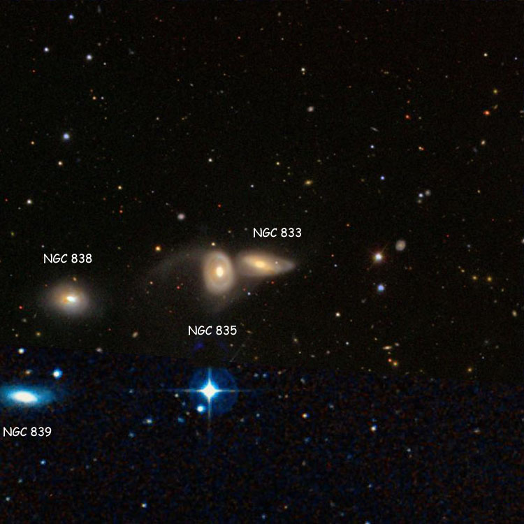 SDSS image of region near spiral galaxy NGC 833 overlaid on a DSS background to show missing regions, also showing NGC 835, NGC 838 and NGC 839, which with NGC 833 are called Arp 318 and Hickson Compact Group 16