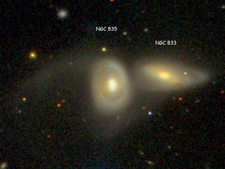 SDSS image of spiral galaxy NGC 835 and spiral galaxy NGC 833, emphasizing their faint outer regions