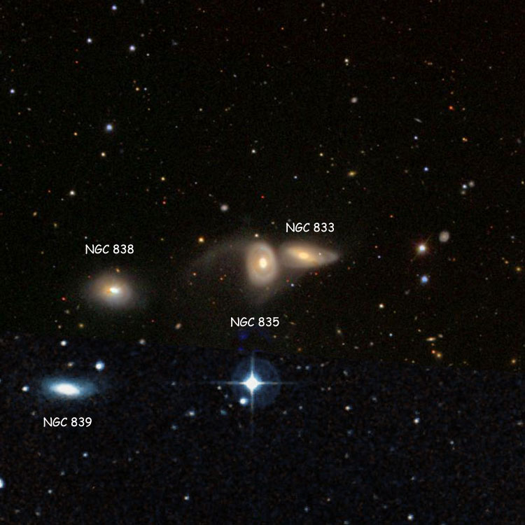 SDSS image of region near spiral galaxy NGC 835 overlaid on a DSS background to show missing regions, also showing NGC 833, NGC 838 and NGC 839, which with NGC 835 are called Arp 318 and Hickson Compact Group 16