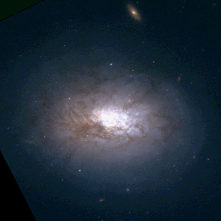 HST image of lenticular galaxy NGC 838, which is part of Arp 318, also known as Hickson Compact Group 16
