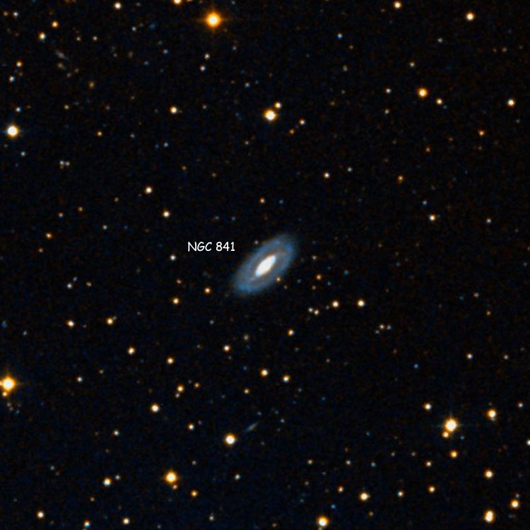 DSS image of region near spiral galaxy NGC 841