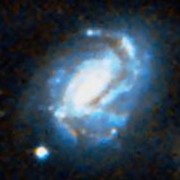 DSS image of spiral galaxy NGC 877