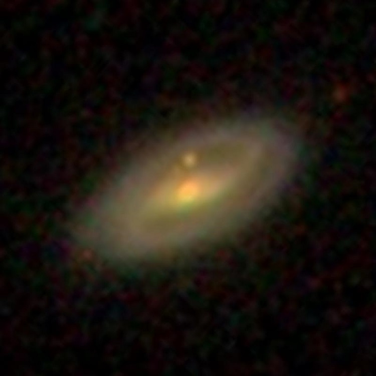 SDSS image of spiral galaxy NGC 905