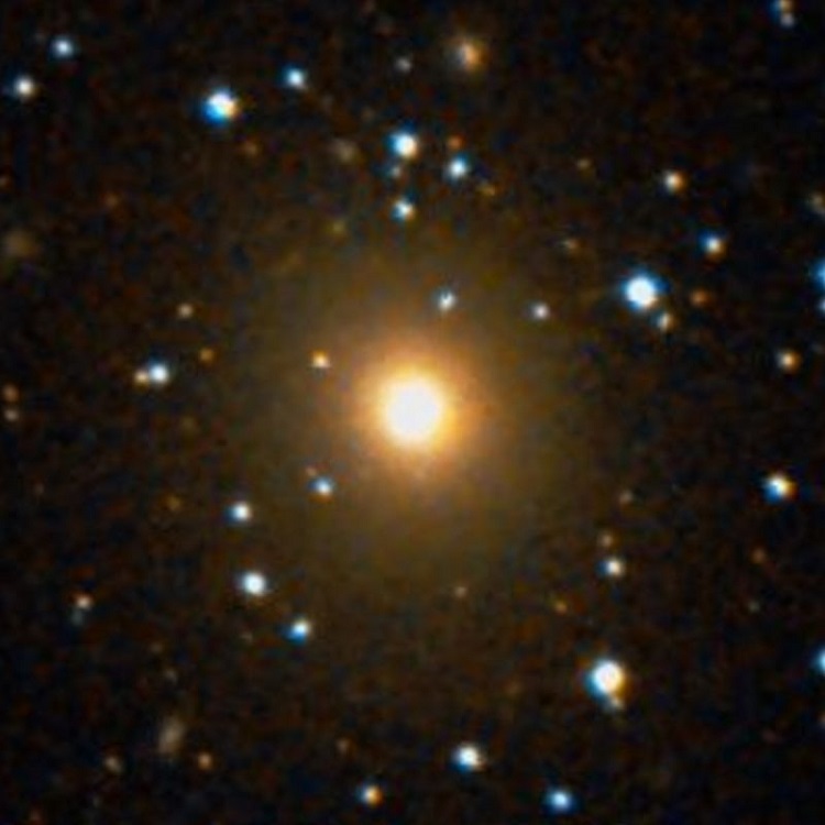 DSS image of elliptical galaxy NGC 910