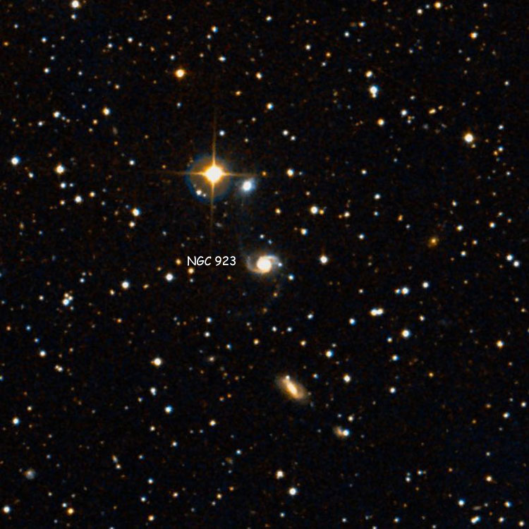 DSS image of region near spiral galaxy NGC 923