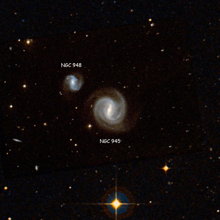 NOAO image of region near spiral galaxy NGC 945, superimposed on a DSS background to fill in missing areas, also showing NGC 948