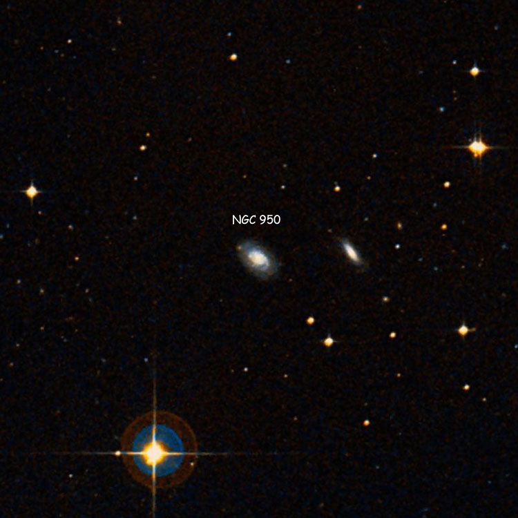 DSS image of region near spiral galaxy NGC 950