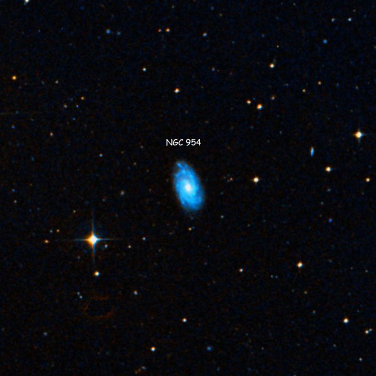 DSS image of region near spiral galaxy NGC 954