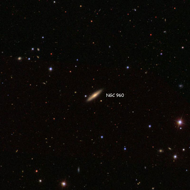 SDSS image of region near spiral galaxy NGC 960