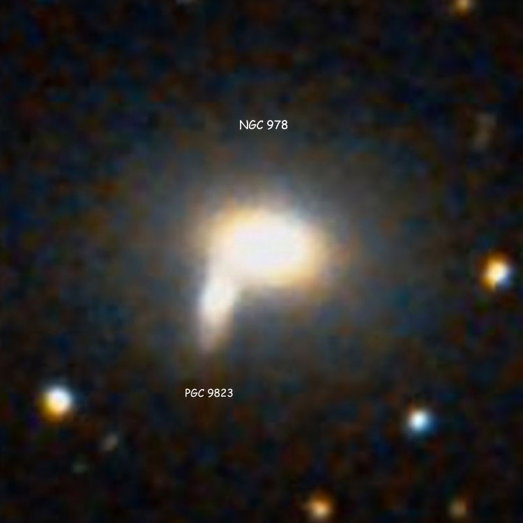 DSS image of lenticular galaxy NGC 978 and its apparent companion, PGC 9823