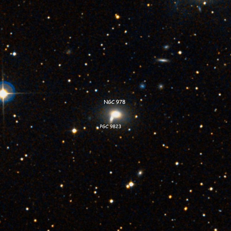 DSS image of region near lenticular galaxy NGC 978 and its apparent companion, PGC 9823