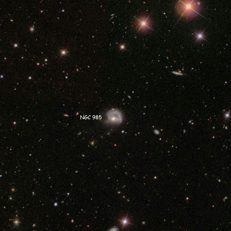 SDSS image of region near ring galaxy NGC 985